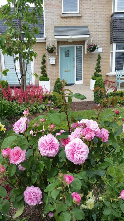 No.5 Bed & Breakfast Kilcullen Exterior foto
